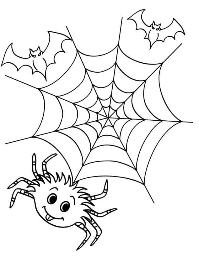 Desenho de Morcegos Aranha e Teia de Aranha para Colorir