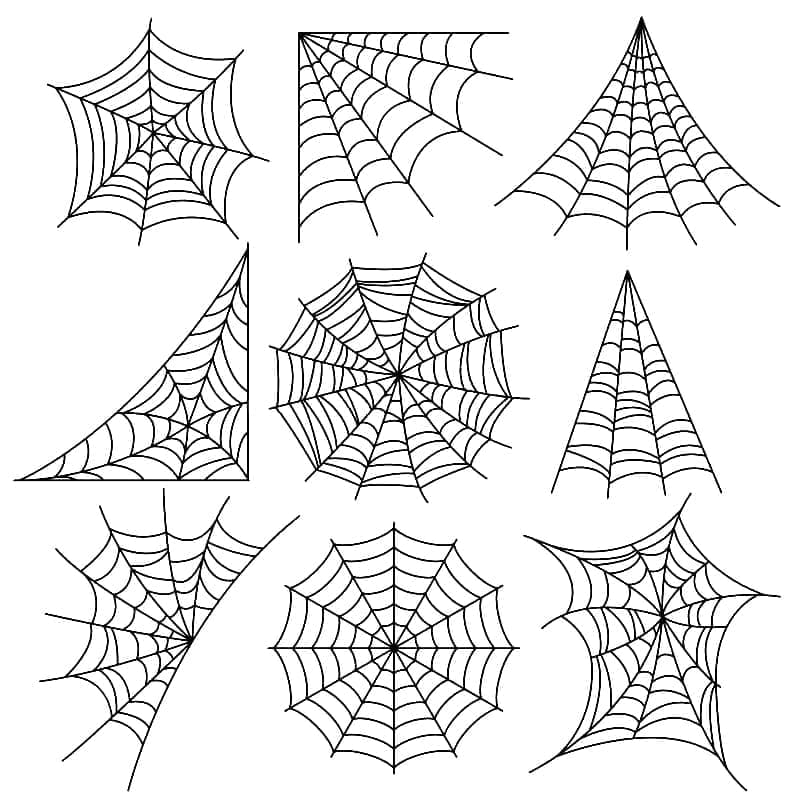 Desenho de Muitas Teias de Aranha para Colorir