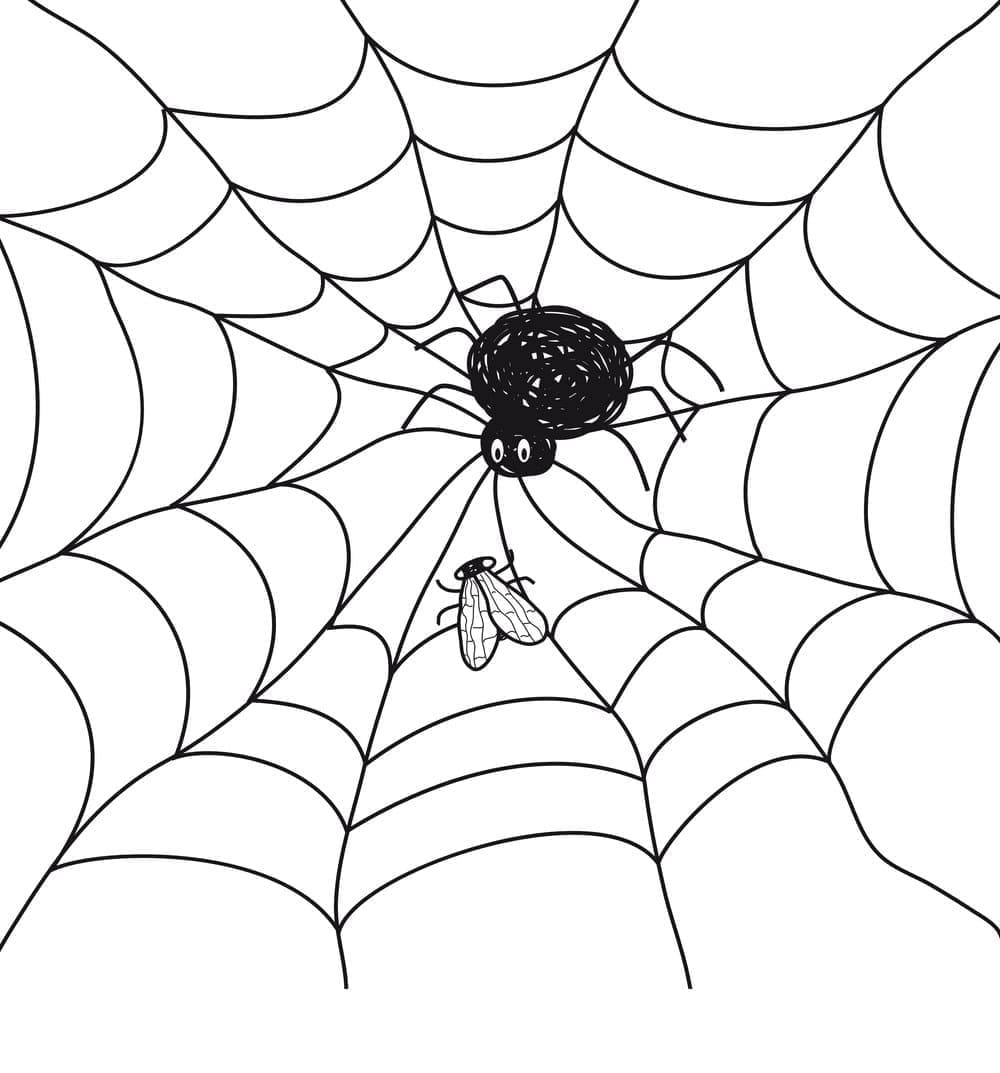 Desenho de Teia de Aranha 3 para Colorir