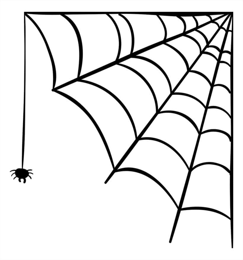 Desenho de Teia de Aranha Grátis para Colorir