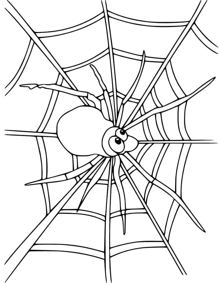 Desenho de Teia de Aranha Imprimivel para Crianças para Colorir