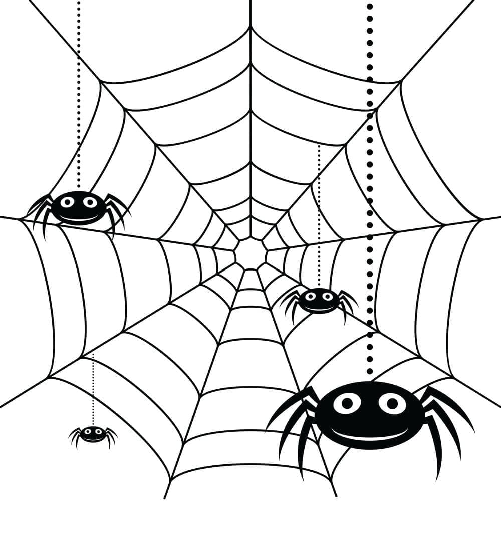 Desenho de Teia de Aranha Imprimivel para Colorir
