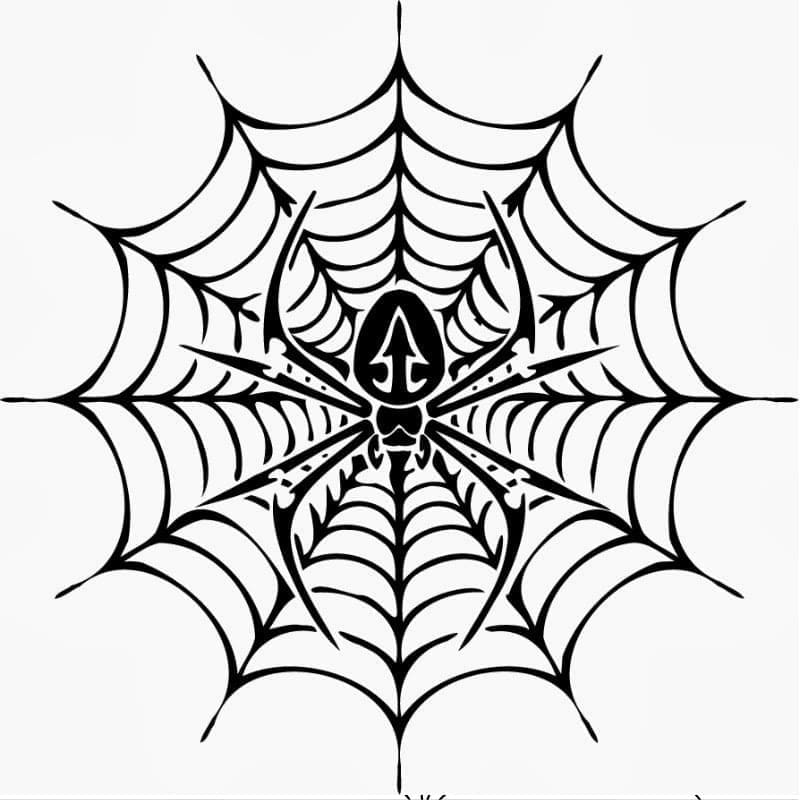 Desenho de Teia de Aranha Maravilhosa para Colorir