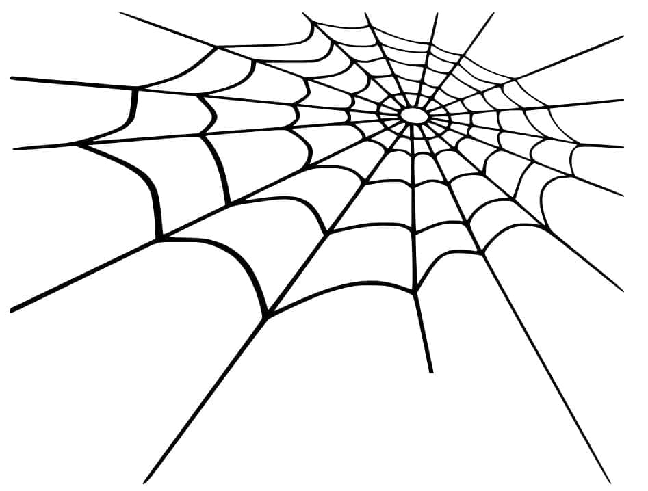 Desenho de Teia de Aranha Muito Fácil para Colorir