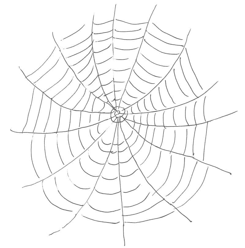 Desenho de Teia de Aranha Muito Simples para Colorir