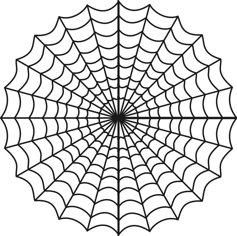 Desenho de Teia de Aranha Perfeita para Colorir