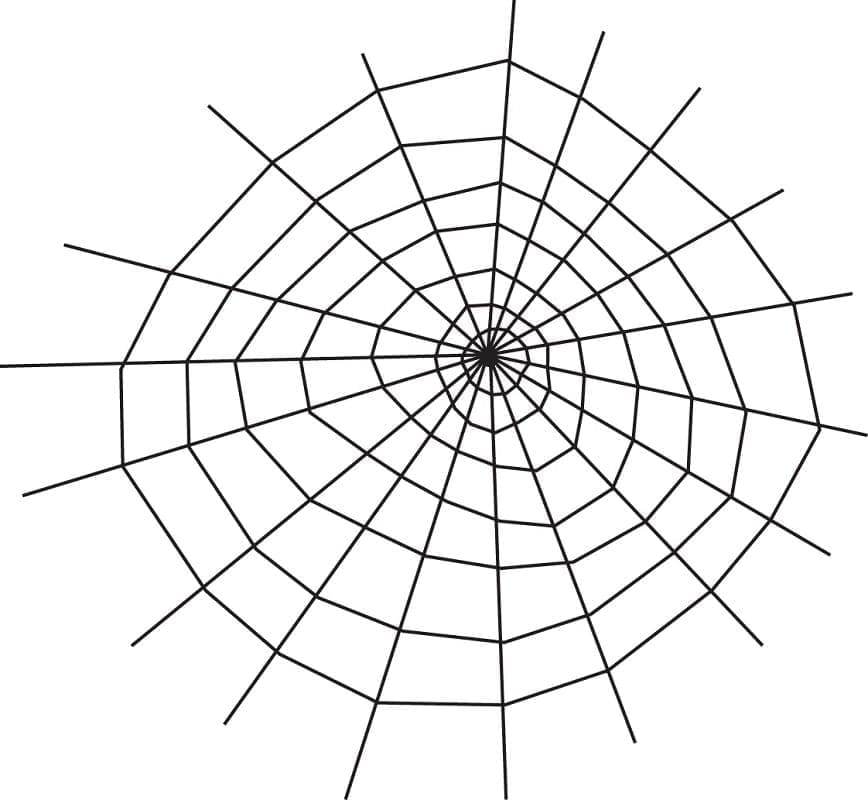 Desenho de Teia de Aranha Simples para Colorir