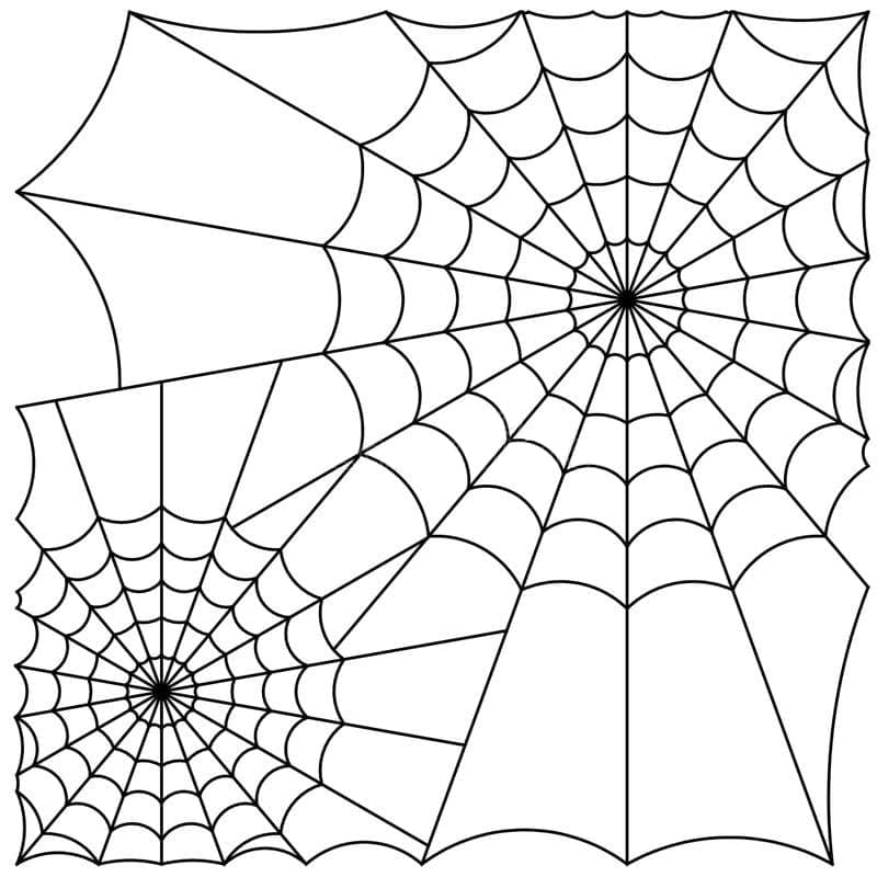 Desenho de Teias de Aranha para Colorir