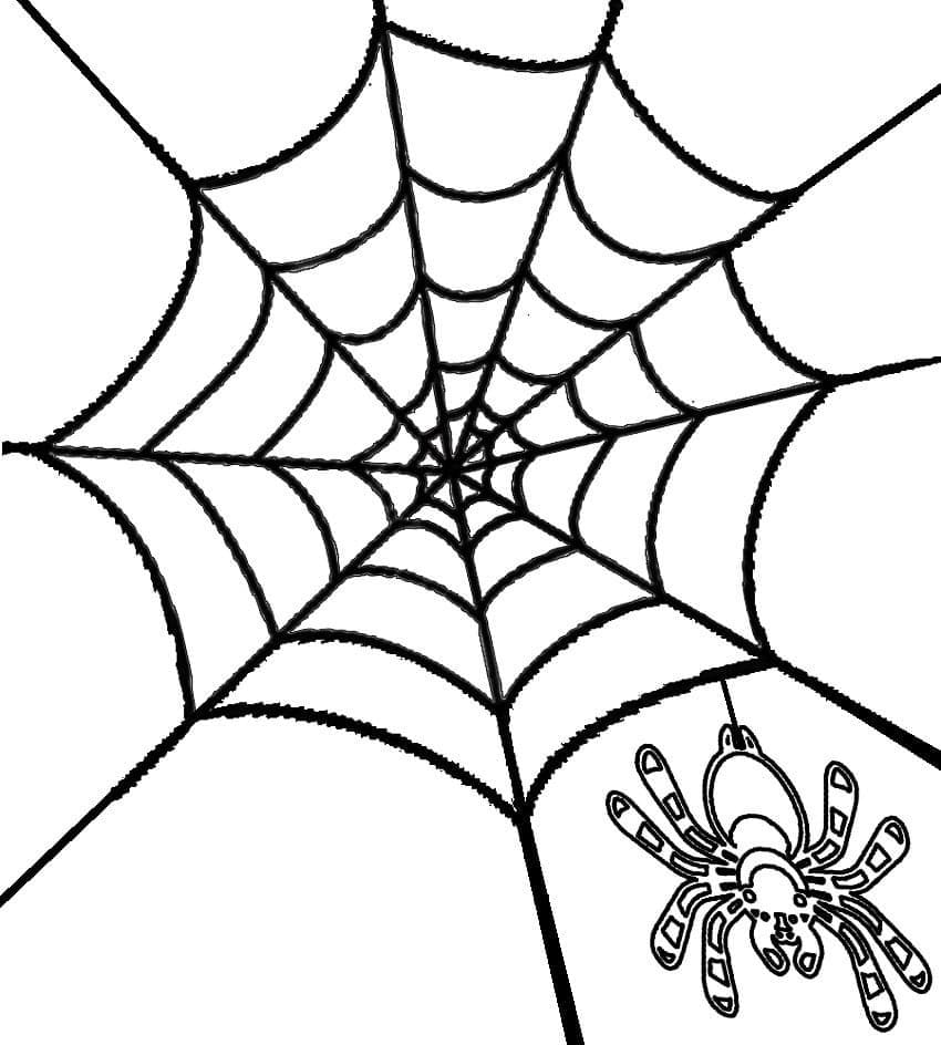 Desenho de uma Aranha com Teia de Aranha para Colorir