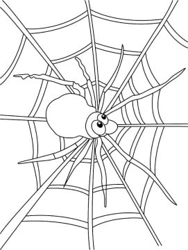 Desenho de Uma Aranha na Teia de Aranha para Colorir