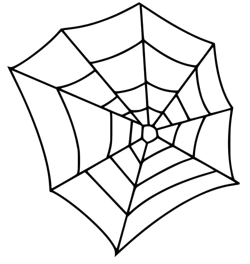 Desenho de uma Teia de Aranha Muito Fácil para Colorir