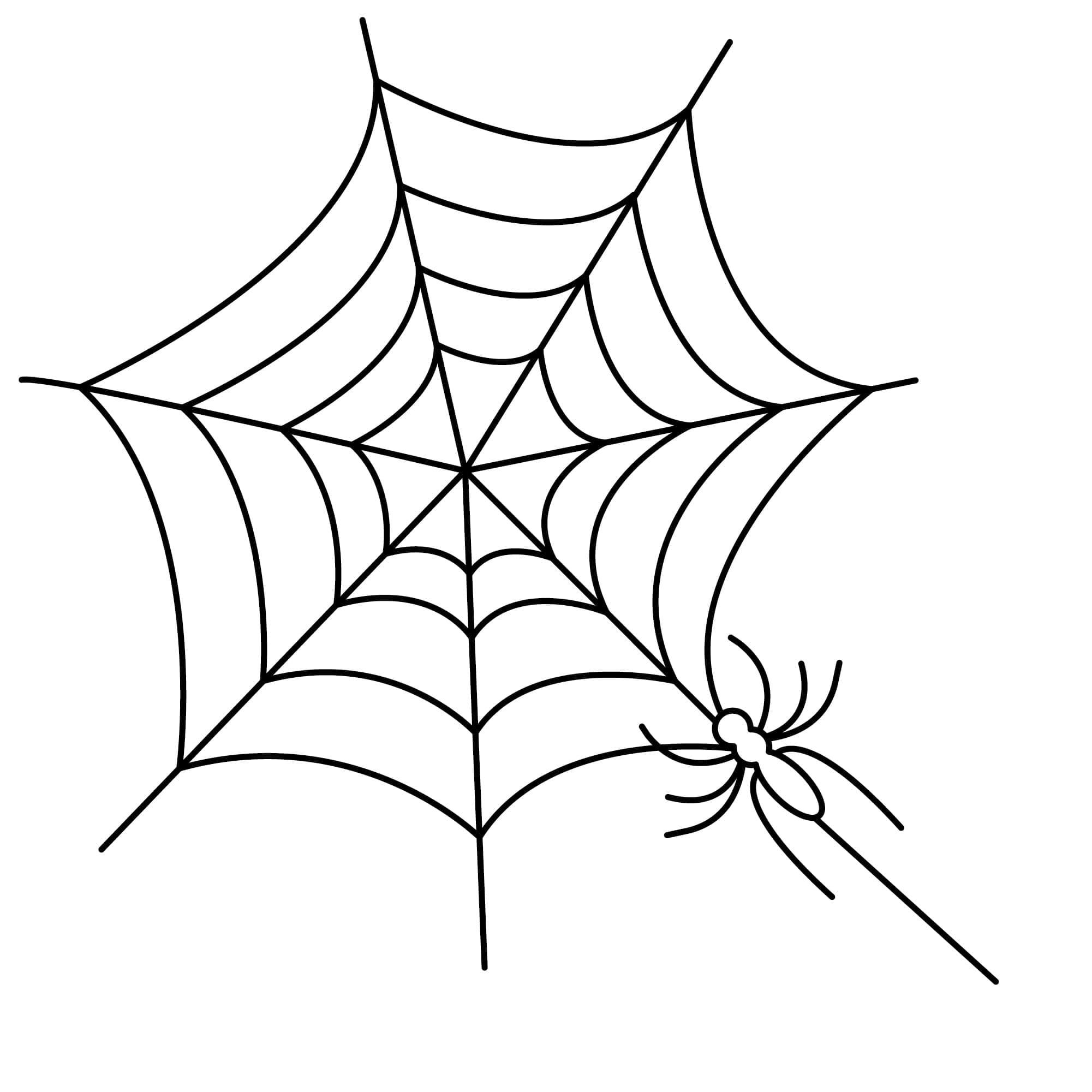 Desenho de uma Teia de Aranha Muito Simples para Colorir