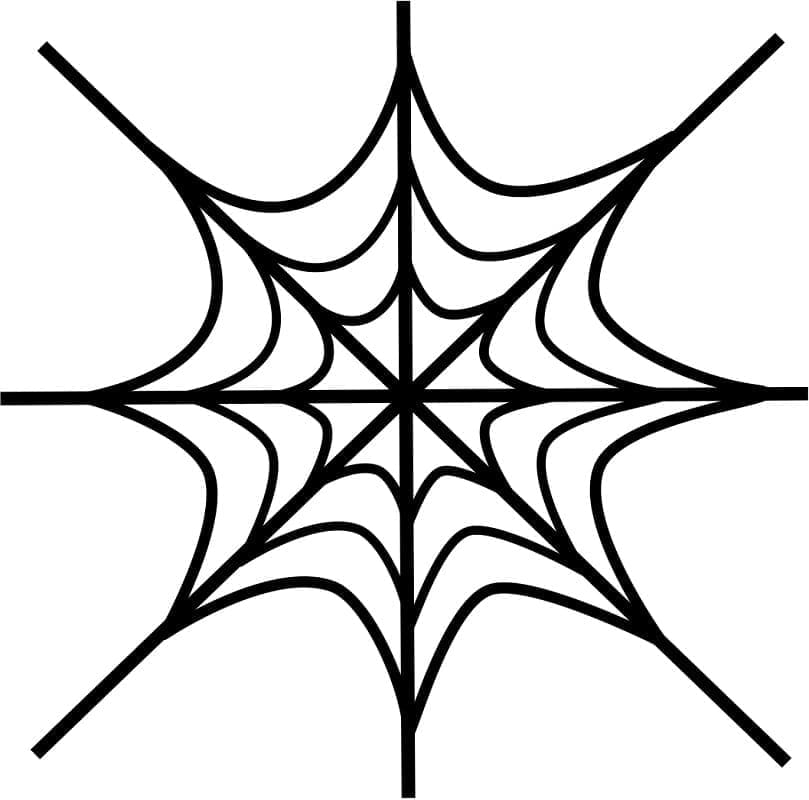Desenho de uma Teia de Aranha Perfeita para Colorir