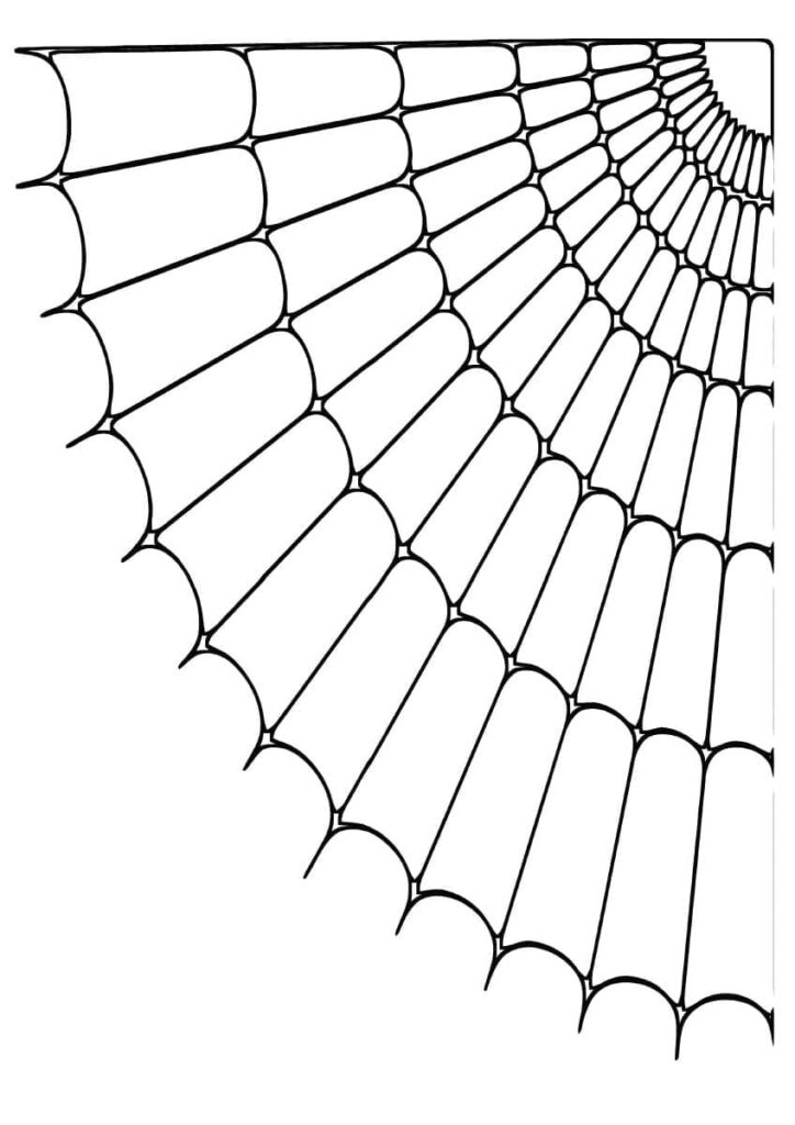 Desenho de uma Teia de Aranha Simples para Colorir