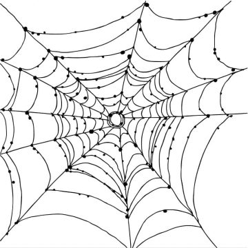 Desenho de Uma Teia de Aranha para Colorir