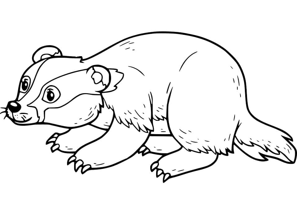 Desenho de Pequeno Texugo para Colorir