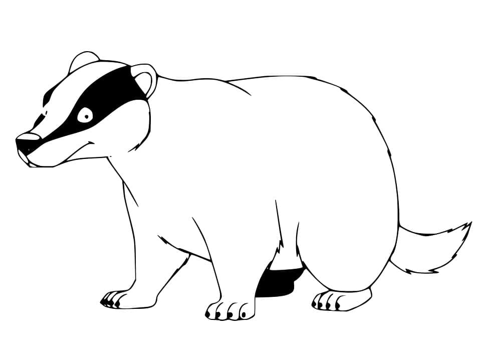 Desenho de Texugo Engraçado para Colorir