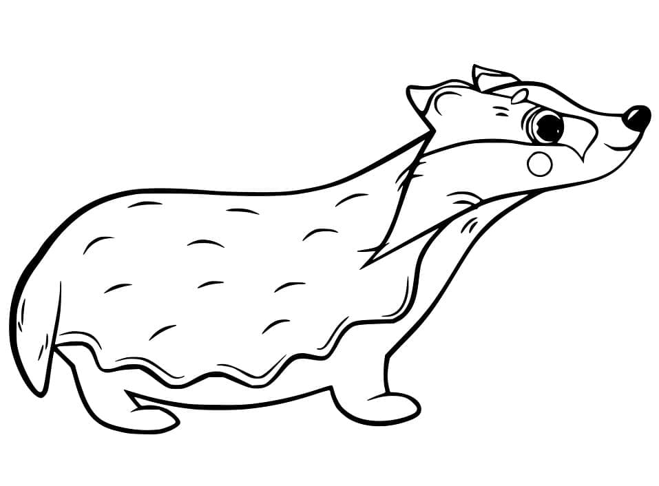 Desenho de Texugo Fofo para Colorir
