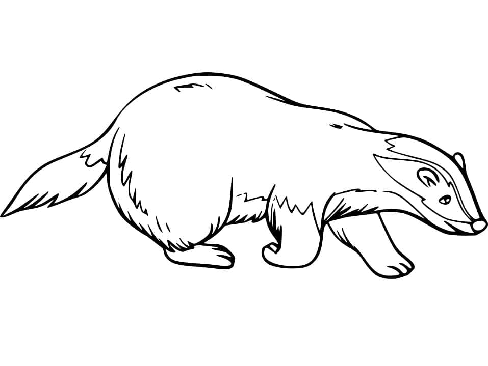 Desenho de Texugo Grátis para Crianças para Colorir