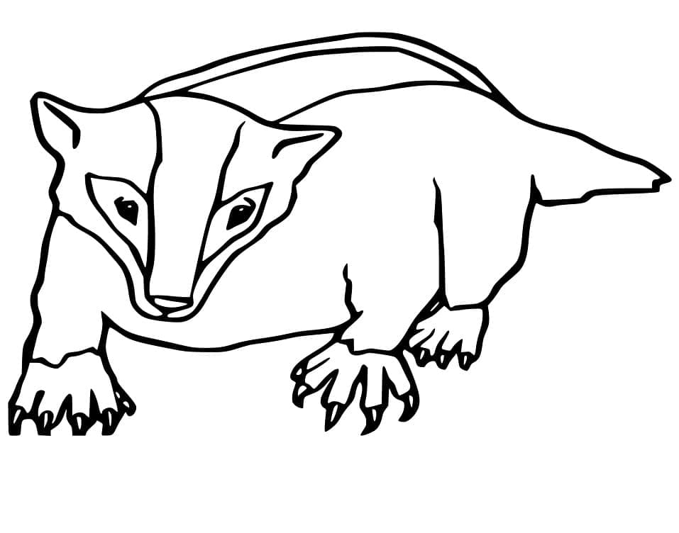 Desenho de Texugo Imprimivel para Colorir