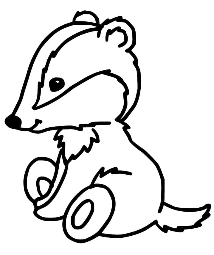 Desenho de Texugo Muito Fofo para Colorir