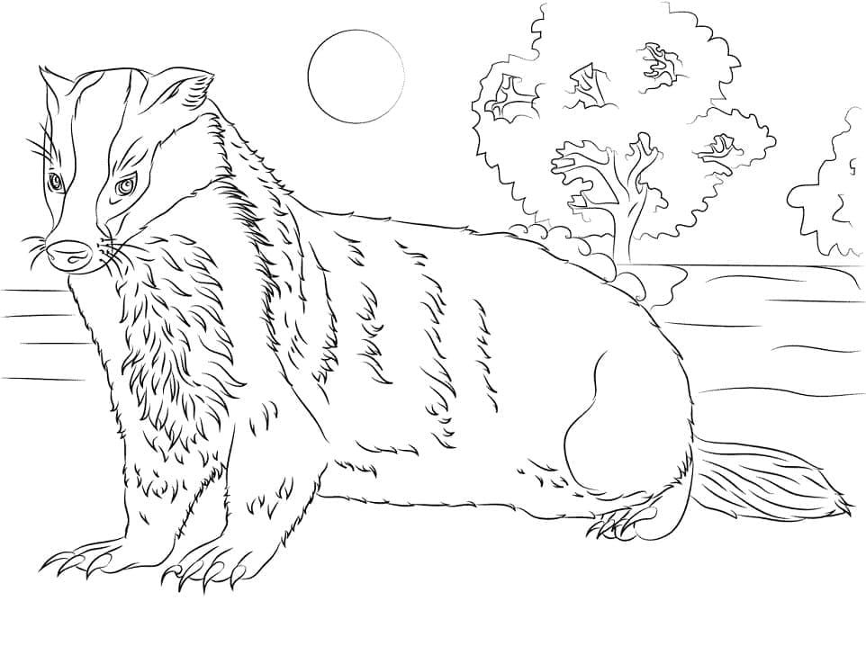 Desenho de Texugo Passeando no Jardim para Colorir