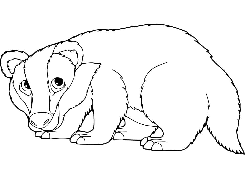 Desenho de um Texugo Fofo para Colorir