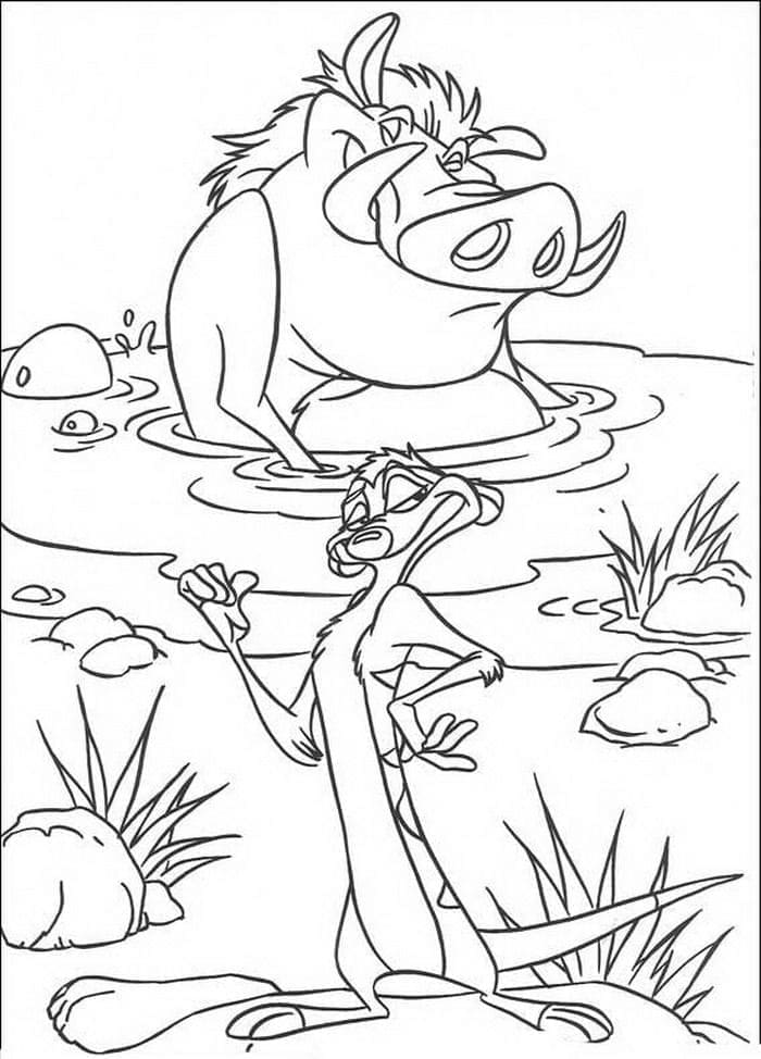 Desenho de Imagem de Timão e Pumba para Colorir
