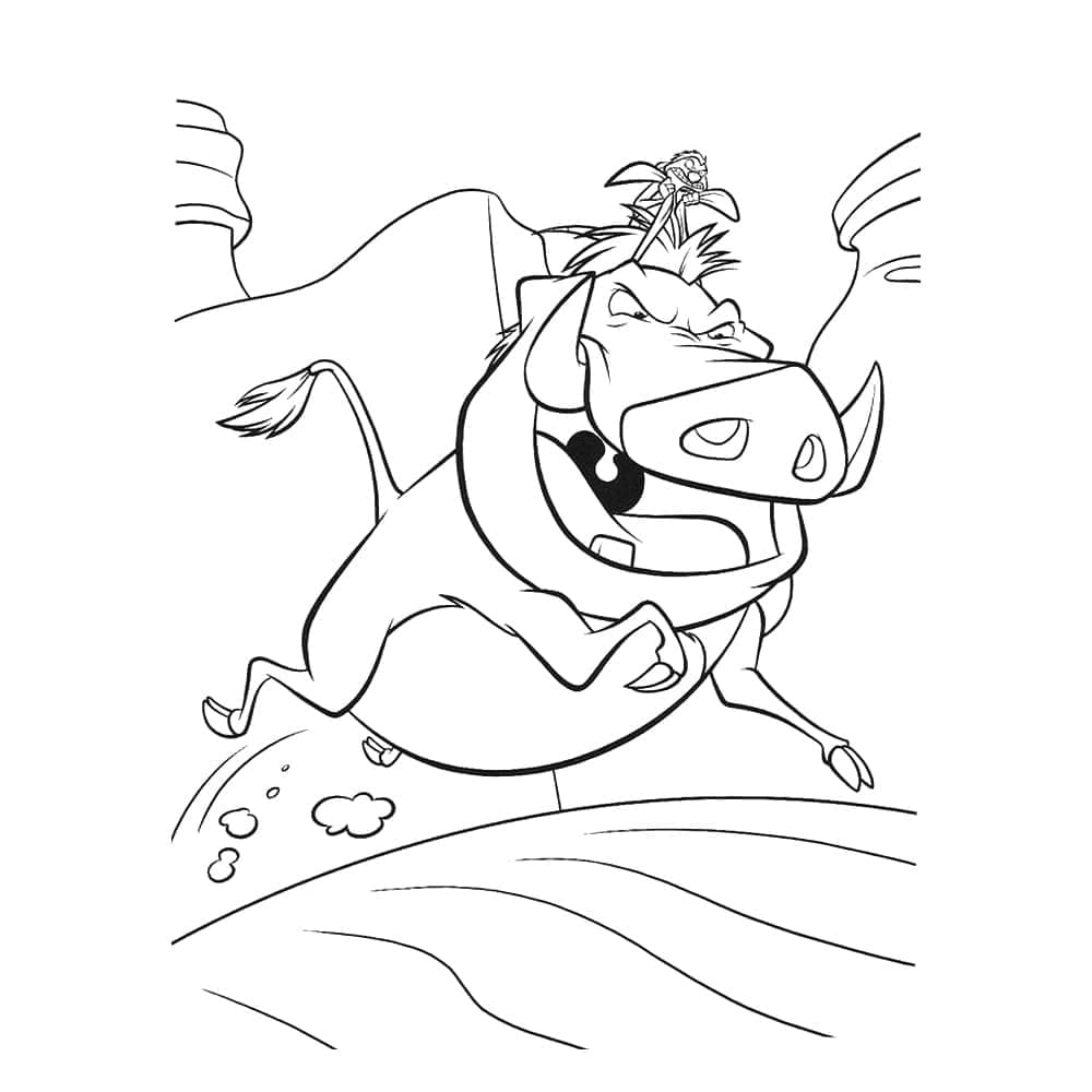 Desenho de Incríveis Timão e Pumba para Colorir
