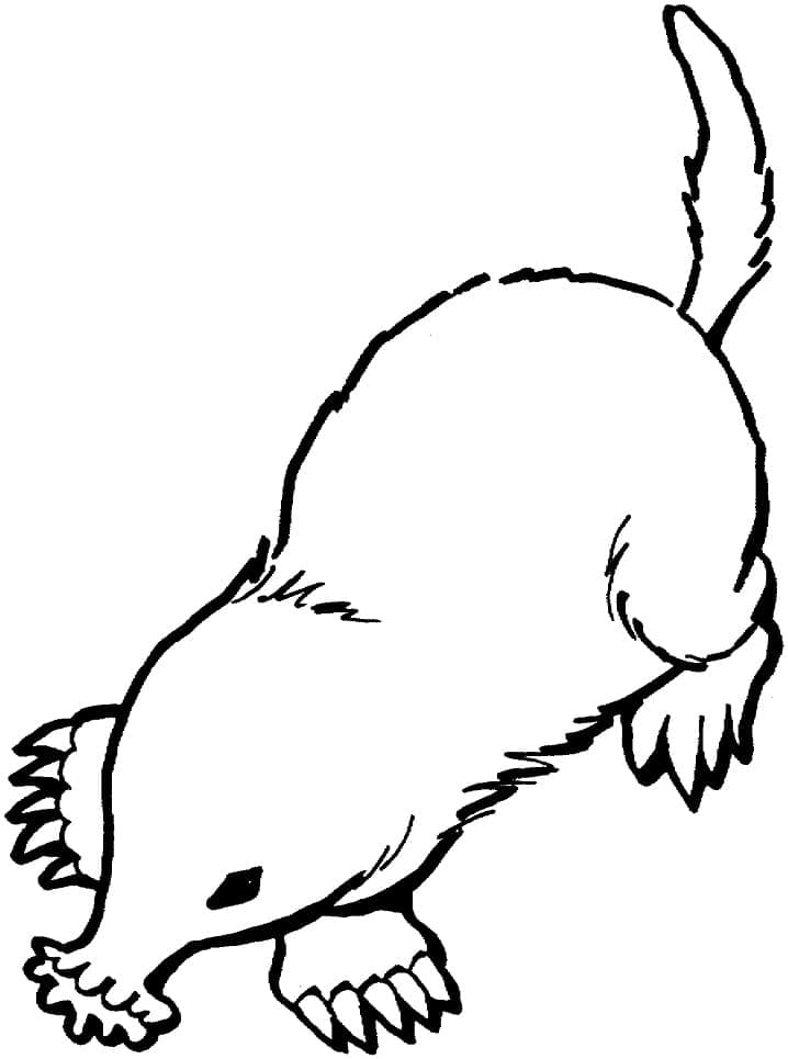Baixar Desenho de Toupeira Grátis para Colorir