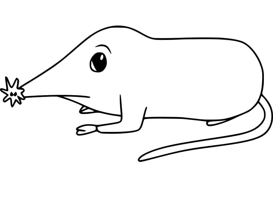 Desenho de Pequena Toupeira para Colorir