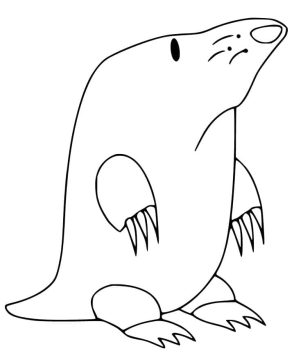 Desenho de Toupeira fácil para Colorir