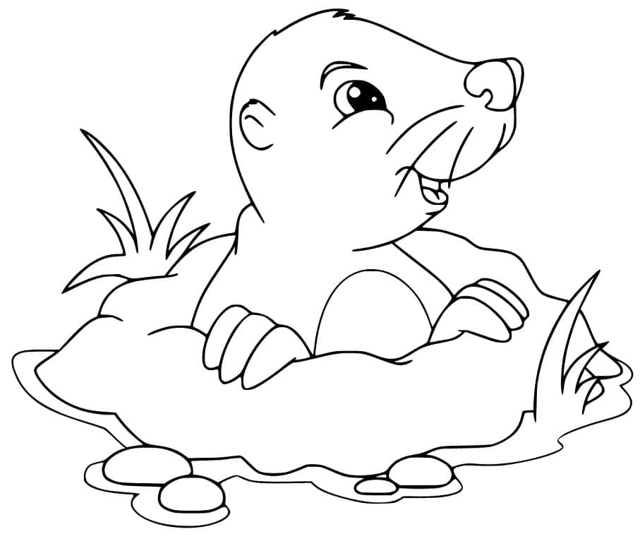 Desenho de Toupeira Feliz para Colorir