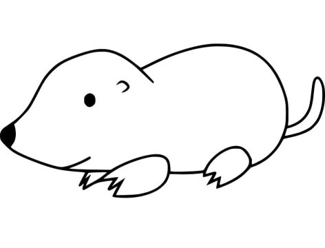 Desenho de Toupeira Fofa para Colorir