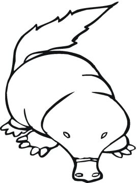 Desenho de Toupeira grátis para Colorir