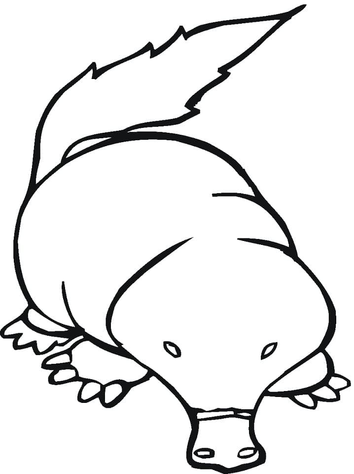 Desenho de Toupeira Grátis para Colorir
