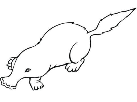 Desenho de Toupeira grátis para crianças para Colorir