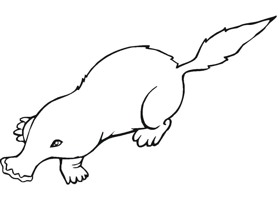 Desenho de Toupeira Grátis para Crianças para Colorir