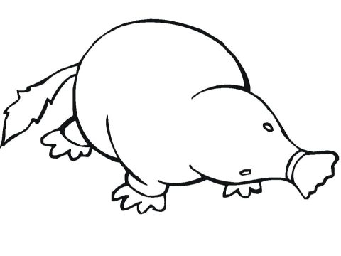 Desenho de Toupeira para crianças para Colorir