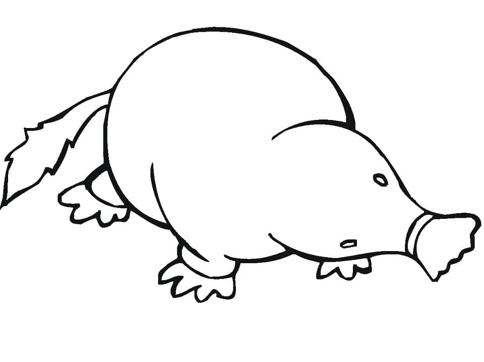 Desenho de Toupeira para Crianças para Colorir