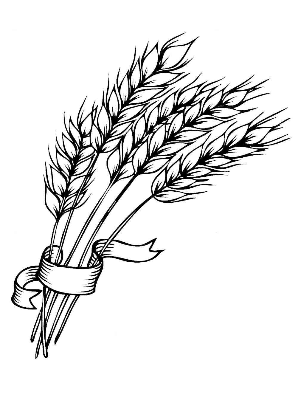 Desenhos de Trigo para Colorir