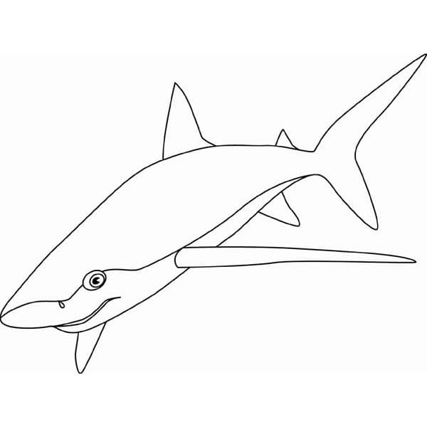 Desenho de Foto de Tubarão para Colorir