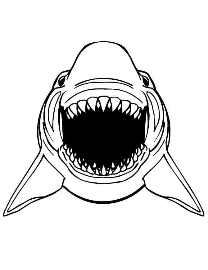 Desenho de Mandíbulas de Tubarão para Colorir