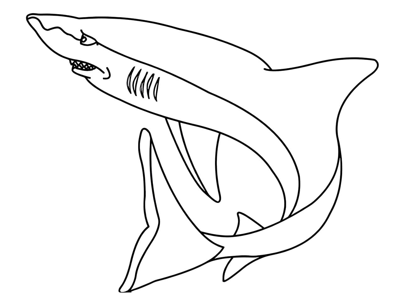 Desenho de o Tubarão para Colorir