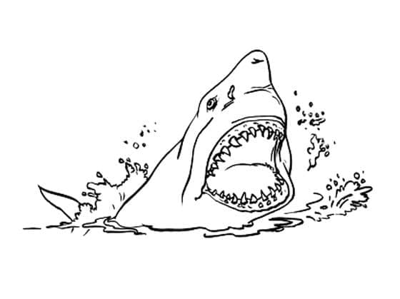 Desenho de Tubarão Assustador para Colorir