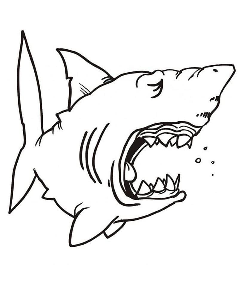 Desenho de Tubarão Grátis para Crianças para Colorir