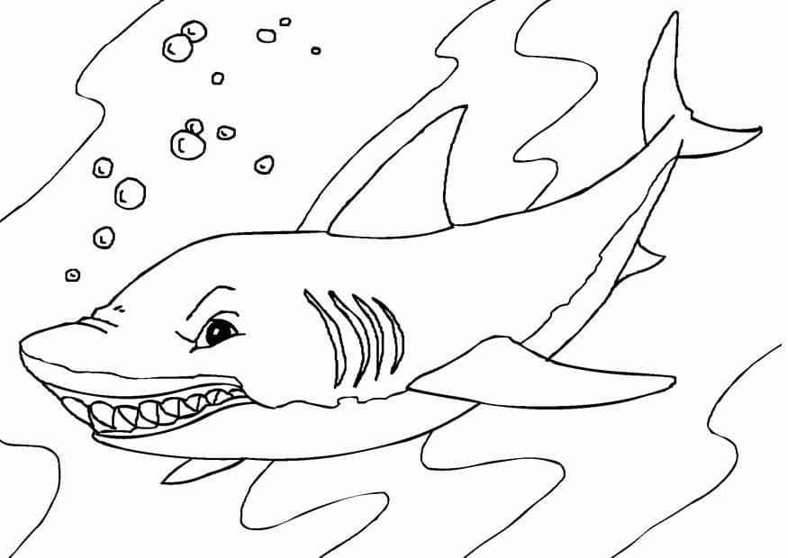 Desenho de Tubarão Malvado para Colorir