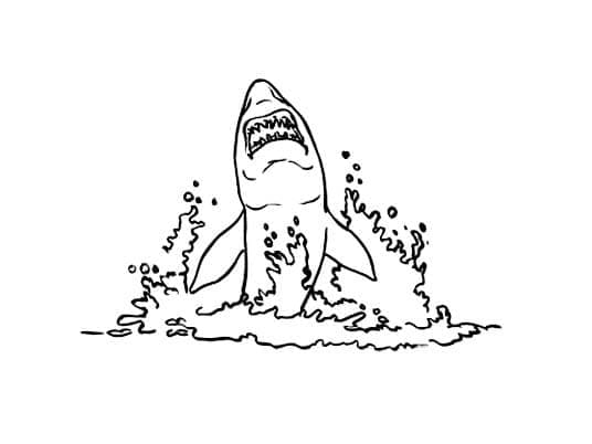 Desenho de Tubarão Saltador para Colorir
