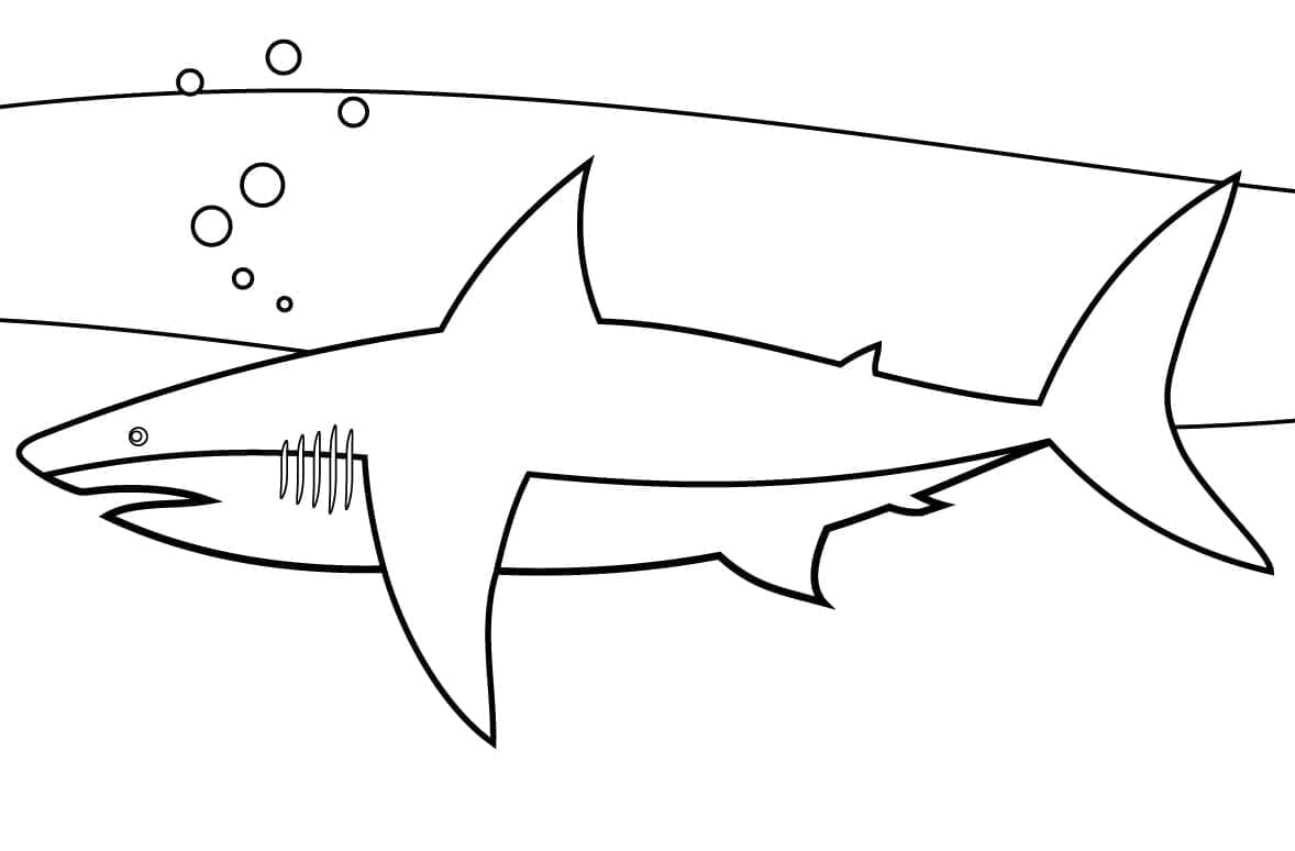 Desenho de Tubarão Simples para Colorir