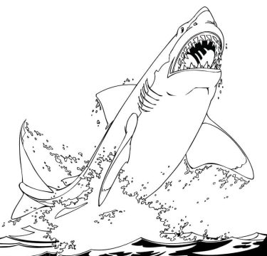 Desenho de Um tubarão Saltador para Colorir